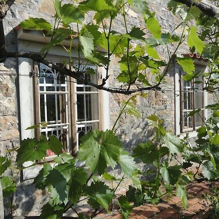 A Lovely House In Vipava Valley Dış mekan fotoğraf