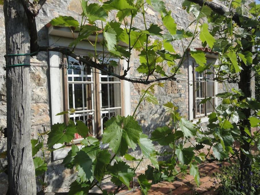 A Lovely House In Vipava Valley Dış mekan fotoğraf